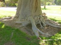 5.Tag, 28.10.2013: Botanischer Garten im Kibbuz 