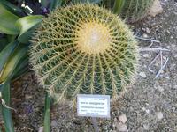 5.Tag, 28.10.2013: Botanischer Garten im Kibbuz 