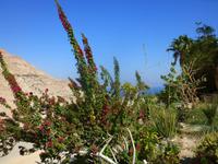 5.Tag, 28.10.2013: Botanischer Garten im Kibbuz 