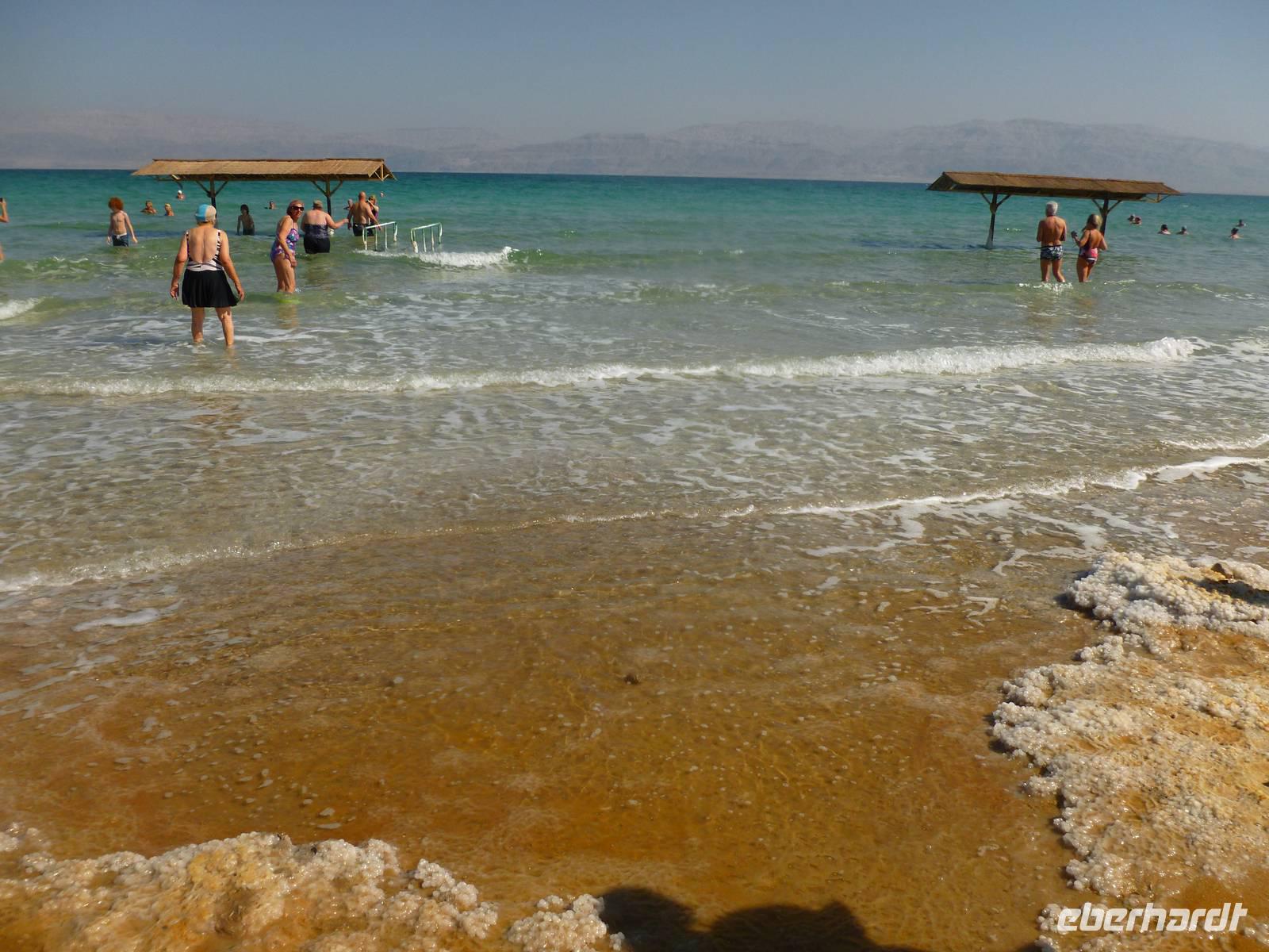 5.Tag, 28.10.2013: SPA En Gedi (Strand am Toten Meer)