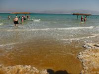 5.Tag, 28.10.2013: SPA En Gedi (Strand am Toten Meer)