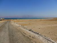 5.Tag, 28.10.2013: SPA En Gedi (Weg zum Strand am Toten Meer)