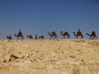 7.Tag, 30.10.2013: Avdat