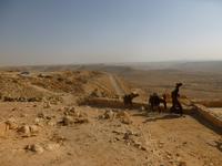 7.Tag, 30.10.2013: Avdat