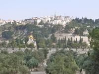8.Tag, 31.10.2013: Blick vom Tempelberg in Richtung Ölberg (mit Maria-Magdalena-Kirche)