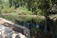 71 Banias Quelle