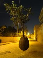 Altstadt von Jaffa 