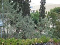Bethlehem