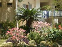 Ein Gedi
