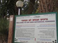 En Gedi_1