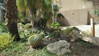 Gärten in Ein Gedi 20180323_110344