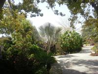 Garten Kibbuz 