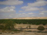 Halbwüste Negev