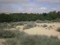 Halbwüste Negev