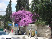 Jerusalem: Rundgang