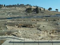 Jerusalem- Ölberg mit Steingräbern
