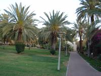 Kibbuz Kalia