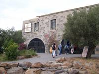 Qatzerin- Golem Olive Oil