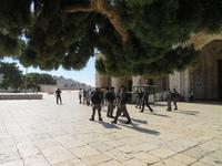 Rundreise Israel - Jerusalem, Tempelberg