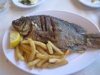 St. Peters-Fisch