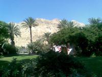 im Kibbuz 