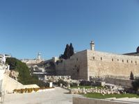 Blick zum Tempelberg nach Passieren der Jerusalemer Altstadtmauer 