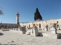 auf dem Tempelberg von Jerusalem