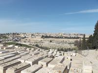 Blick vom Tempelberg zum Ölberg