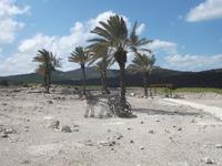 Megiddo, historische Stallungen