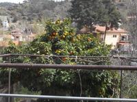 Spaziergang im alten Dorf Kakopetria