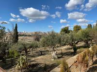 Ölberg Jerusalem
