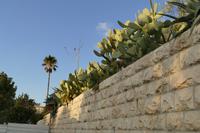 Jerusalem – 3 (30)