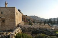 Jerusalem, Tempelberg Pilgerweg – 4 (2)