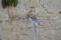 Jerusalem, Tempelberg Pilgerweg – 4 (29)