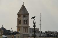 Jerusalem, Tempelberg Pilgerweg – 4 (45)