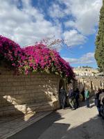 Palmsonntagsweg - Jerusalem