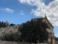 Kirche der Nationen - Jerusalem