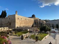 Altstadtmauer Jerusalem mit Blick auf den Tempelberg