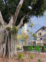 Deutsche Kolonie Sarona