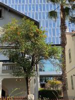 Deutsche Kolonie Sarona