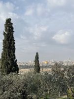 Blick auf den Felsendom