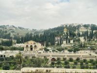 Blick auf den Ölberg