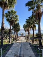 Blick auf den See Genezareth