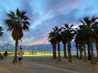Strand von Tel Aviv