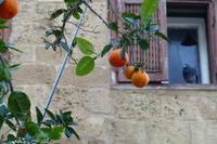 Tel Aviv – 1 (3)