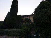 Diese kleine Villa hatte sogar ihr eigenes kleines Wäldchen im Garten.