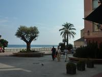 Plätze mit Mittelmeerpflanzen...