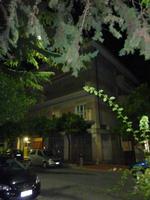 Teilweise war die Straße sogar noch dichter bewachsen.