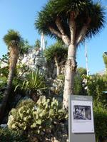 Unser erster Halt an diesem Tag sollte der Jardin exotique (exotischer Garten) sein. Diese empfing uns mit einer einzigartigen Mischung verschiedenster Sukkulenten.