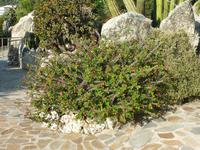 Ich persönlich habe mich zu einem Blick hin und her hinreißen lassen.